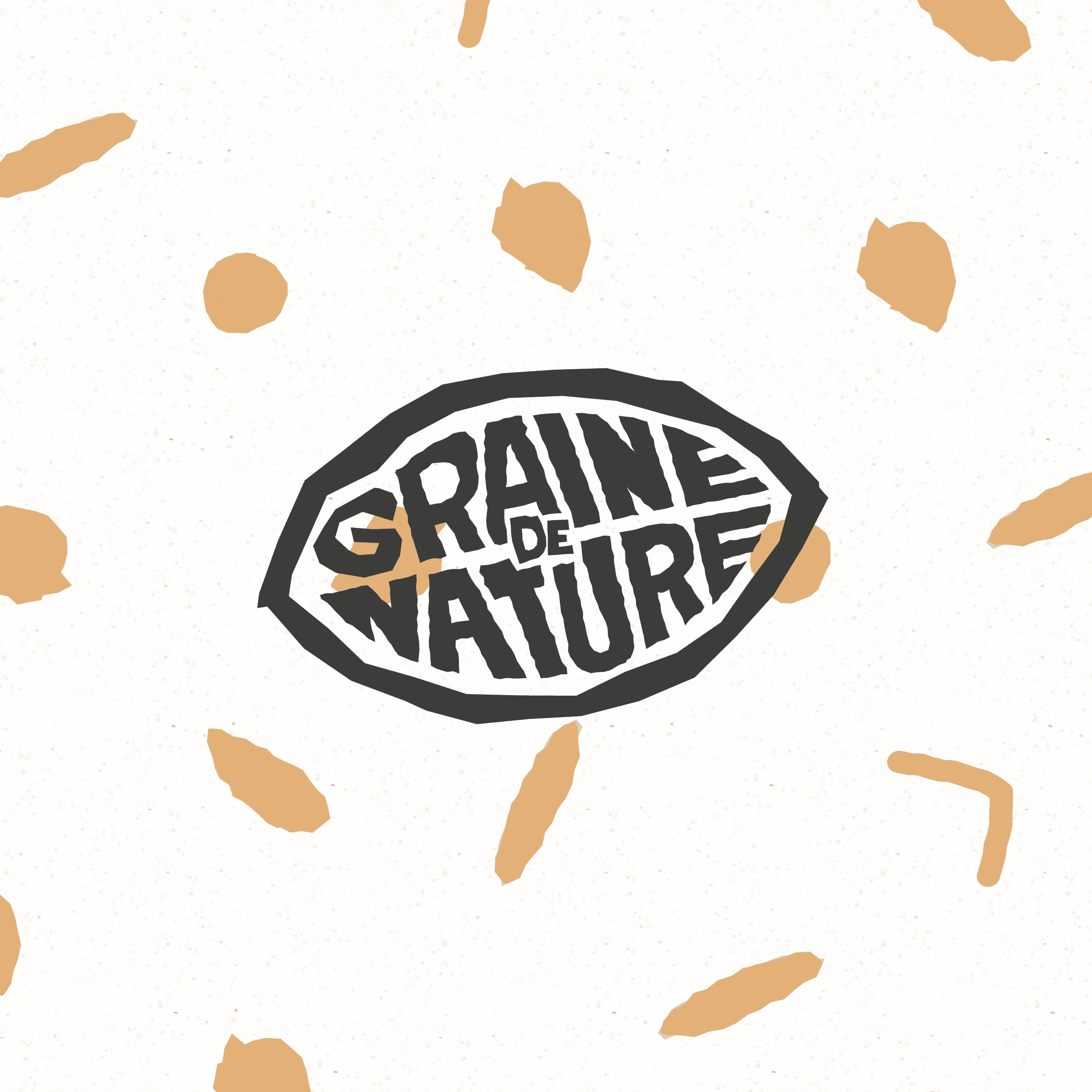Journal/Portfolio - Identité visuelle de Graine de Nature